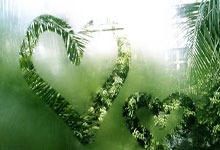 雷竞技：Shams：杜兰特将伤停至少一周确认缺席三连客，太阳无他2胜11负.